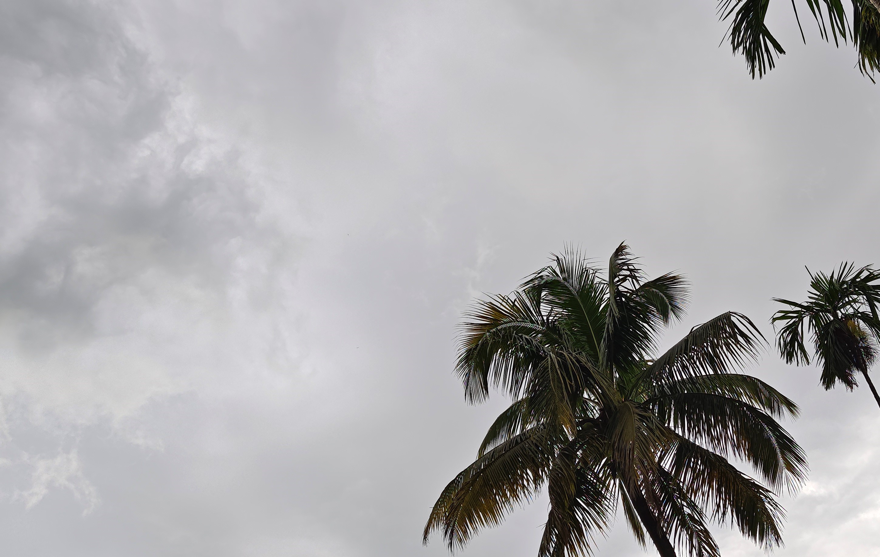 Banarhat July Weather